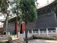 -关林