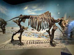 -国家自然博物馆