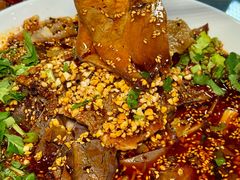 -陈麻婆豆腐(旗舰店)