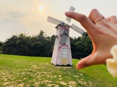 -艾溪湖湿地公园