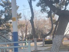 -幸福门