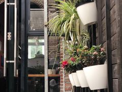-桉树林A coffee 森林餐厅(三圣乡店)