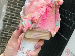 -柠檬车露(卖草地店)
