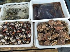 -渔家小院观海海肠捞饭地方菜(环海中路店)