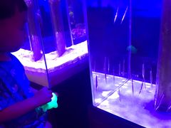 -石家庄海洋公园