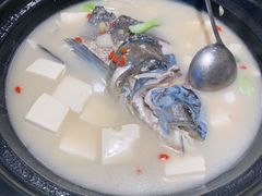 -7017浙菜•建德味(中财店)