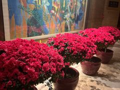 -秦皇岛秦皇国际大酒店