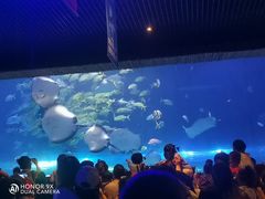 -华夏文旅西安度假区