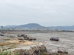-北岐滩涂