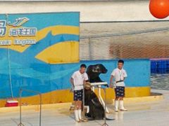 -秦皇岛乐岛海洋王国