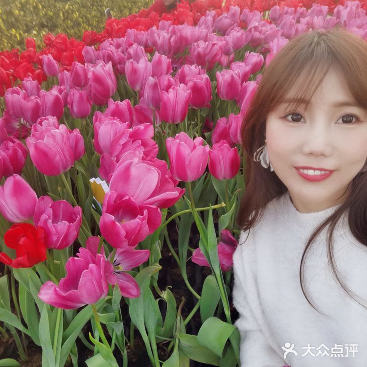 🌷园博苑•荷兰园郁金香•异域风情🌷