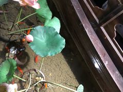 -苏浙徽·江南荟·本味融合菜(相城方圆里店)