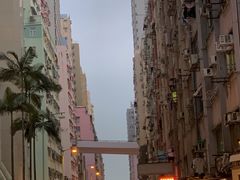 -香港大学
