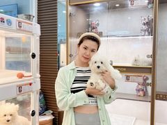 -翊宠yipet猫狗购宠庄园犬舍•猫舍