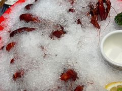 -红辣椒·川菜·火锅(张杨路店)