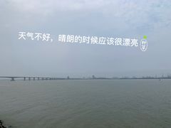 -大湾区中央湿地公园