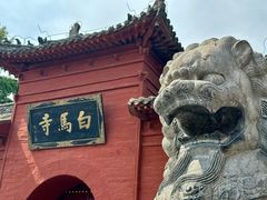 -洛阳白马寺