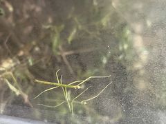 -上海昆虫博物馆