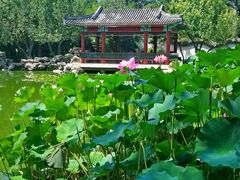 -宣武艺园
