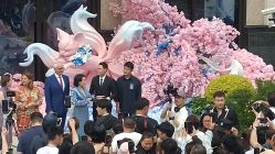 -黛莱皙护肤美妆
