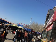 -中环花鸟鱼虫市场