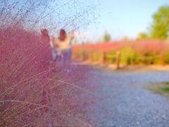 -汉长安城未央宫国家考古遗址公园