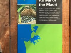 -怀托摩萤火虫洞