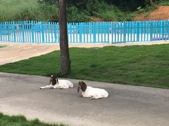 -光明农场大观园