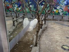 -海合安青岛极地海洋公园
