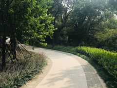 -上海市保健医疗中心