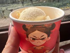 -野蔓果·山野菜(西湖景区·龙井茶田店)