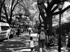 -北京国子监胡同