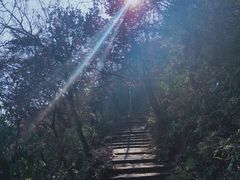 -杭州半山国家森林公园