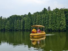 -星湖旅游景区七星岩