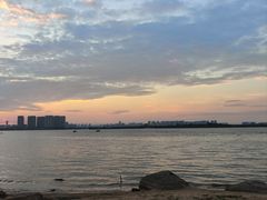 -瑶湖郊野森林公园