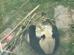 -大连森林动物园