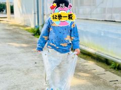 -前小桔亲子创意农场·草莓采摘·露营烧烤