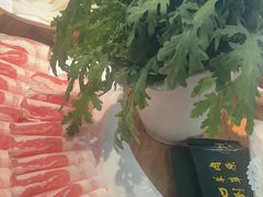 -草原塞蛮羊火锅城(港湾店)