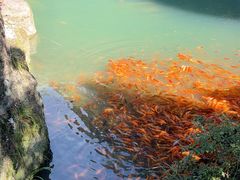 -楠溪江风景名胜区