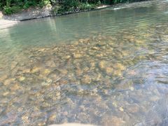 -九曲溪竹筏码头