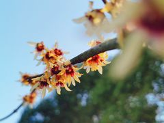 -白塘生态植物园