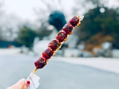 -周口店北京人遗址公园