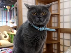 -小时光咖啡馆(开森度假森林店)