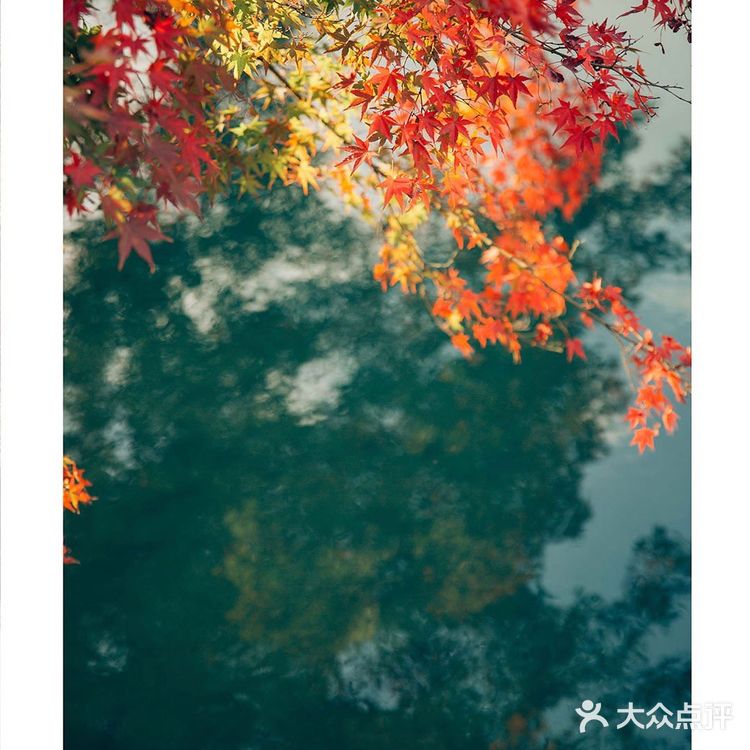 秋季专场🍁  秋天该很好，风温柔🌾 你也温柔