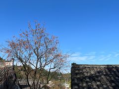 -丹山赤水风景名胜区