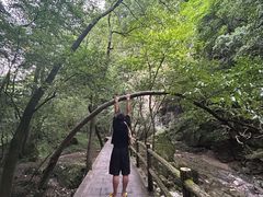 -牛背梁国家森林公园