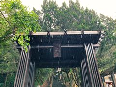 -金盆阿嬷香菇茶叶蛋(玄光店)