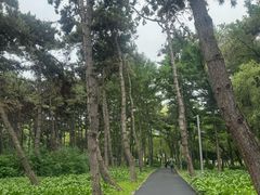 -长春市南湖公园