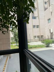 -上海交通大学医学院附属上海儿童医学中心(陆家嘴总院区)