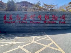 -青藏高原野生动物园